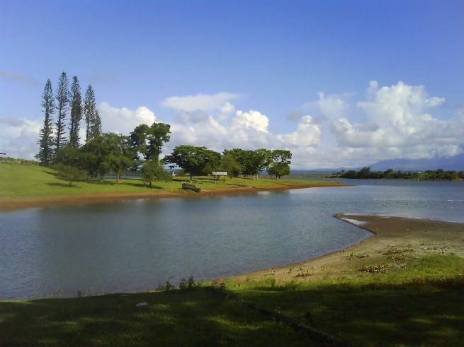 from my walkman phone