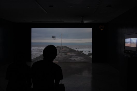 Nothing to Declare, Video Installation